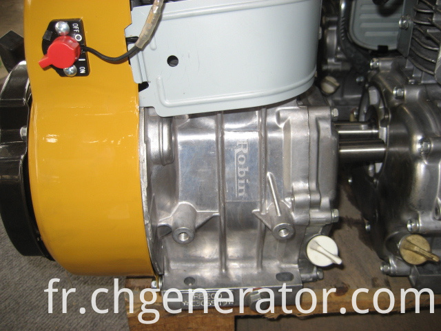 Robin Gasoline Engine